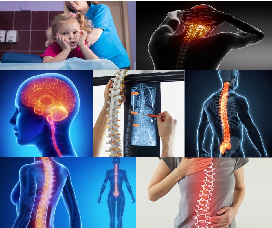 June 13-20, 2026: CBP Advanced Certification Series. Modules 8-13 & 15