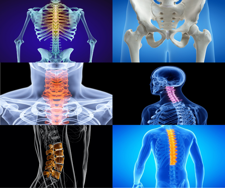 CBP Basic Certification Series: September 26-October 3, 2026