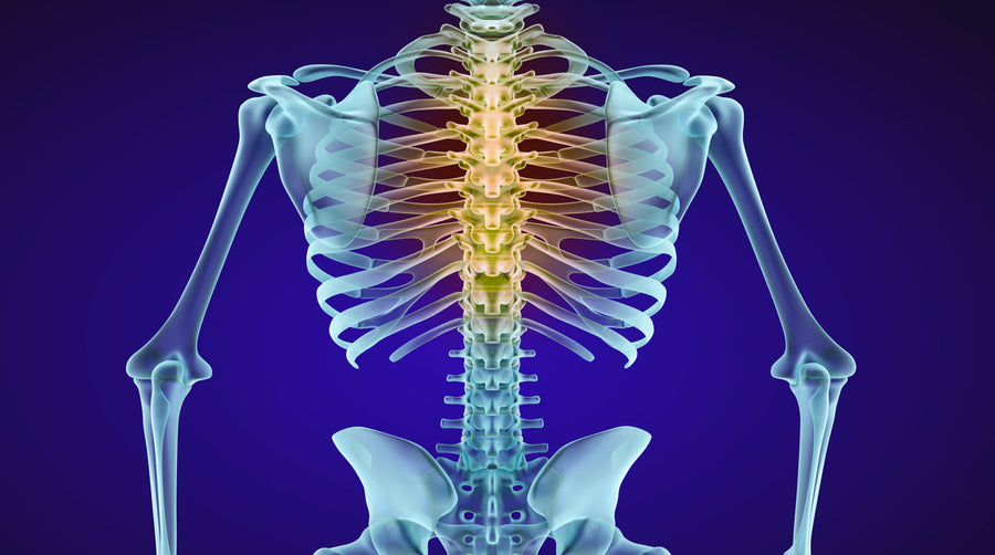 Module 1 X-Ray, Posture, and Spine