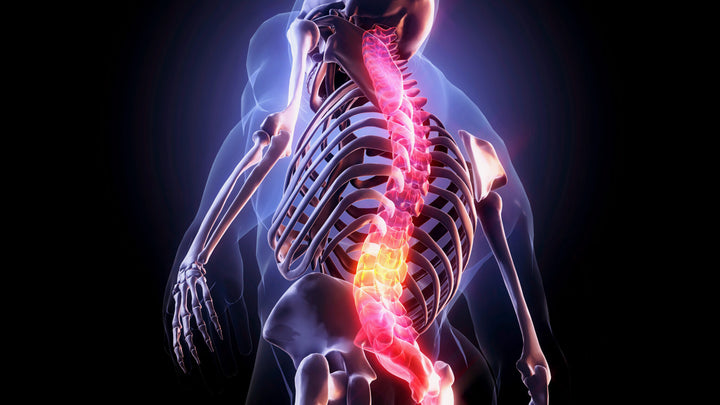 CBP Seminars – Chiropractic BioPhysics