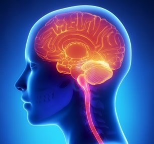 June 15, 2026: Module 9. CBP® Neurology, Posture & Systemic Health