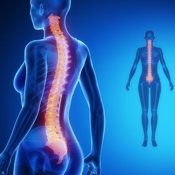 June 18, 2026: Module 13. CBP® Biomechanics of the Spine & Posture