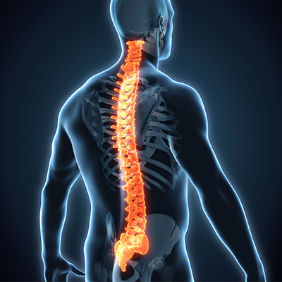 June 17, 2026: Module 12. CBP® Advanced Full Spine Analysis & Techniques